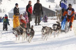 Lenk 2012 SM